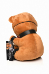 Ours en peluche b�illonn�
